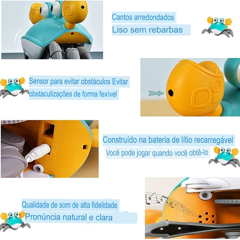 BRINQUEDO DE CARANGUEJO ESTRATIFICANTE │CRAB TOY - Classico Boom