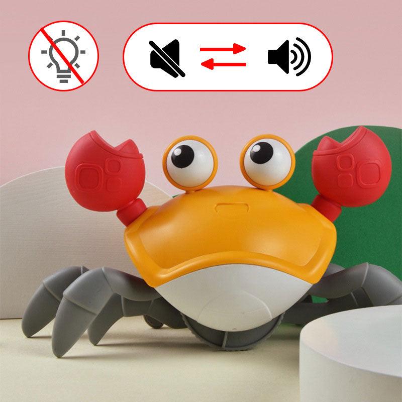 BRINQUEDO DE CARANGUEJO ESTRATIFICANTE │CRAB TOY - Classico Boom